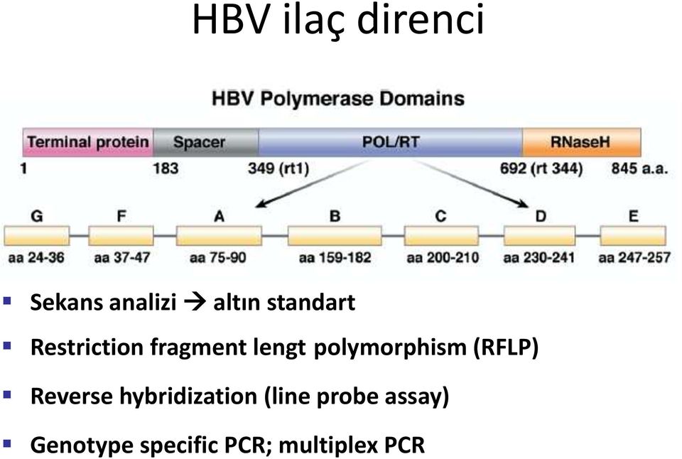 polymorphism (RFLP) Reverse hybridization