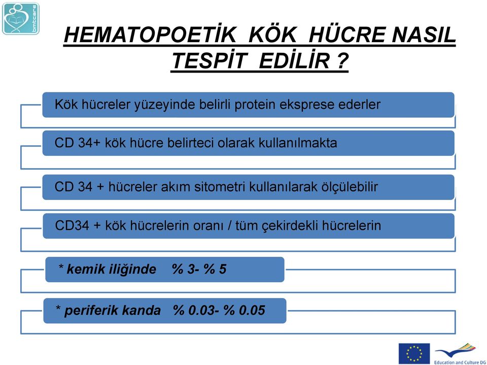 belirteci olarak kullanılmakta CD 34 + hücreler akım sitometri kullanılarak