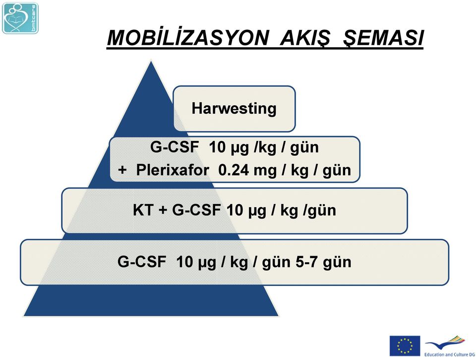 24 mg / kg / gün KT + G-CSF 10 µg /