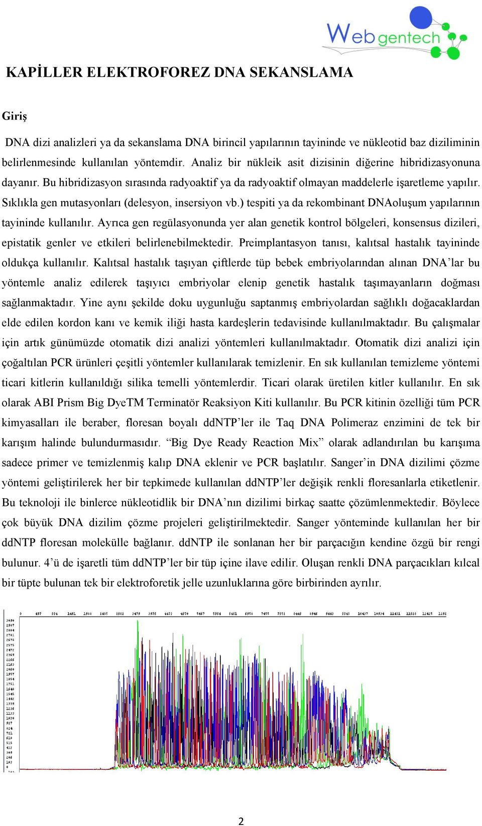 Sıklıkla gen mutasyonları (delesyon, insersiyon vb.) tespiti ya da rekombinant DNAoluşum yapılarının tayininde kullanılır.