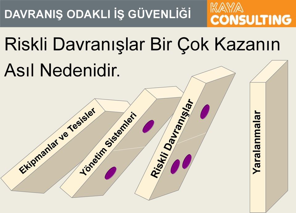 Riskli Davranışlar Bir