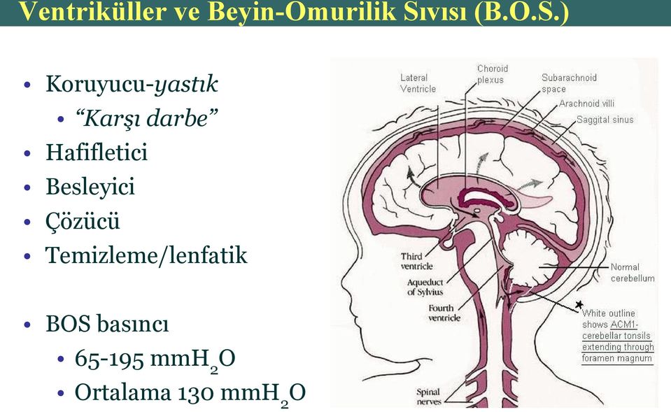 Hafifletici Besleyici Çözücü