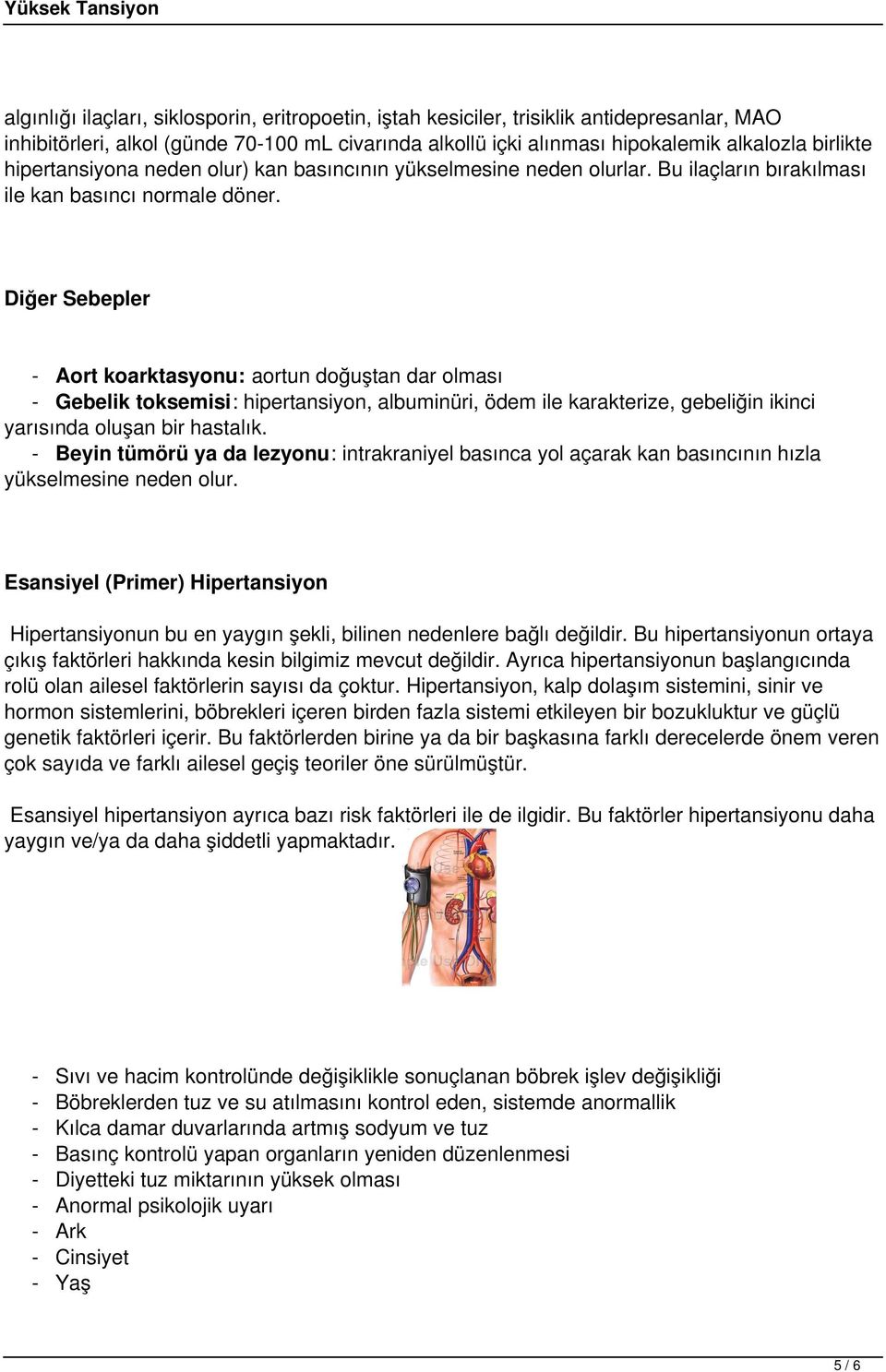 Diğer Sebepler - Aort koarktasyonu: aortun doğuştan dar olması - Gebelik toksemisi: hipertansiyon, albuminüri, ödem ile karakterize, gebeliğin ikinci yarısında oluşan bir hastalık.