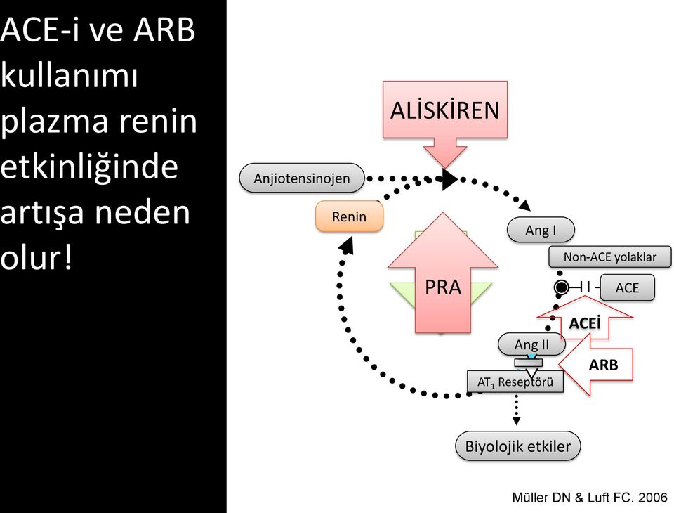 Renin PRA PRA Ang I Non-ACE yolaklar ACE Ang II AT 1