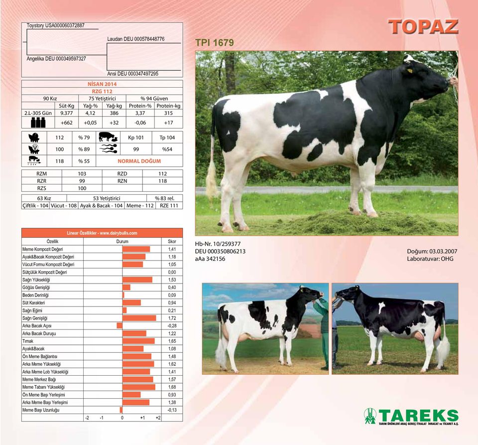 Çiftlik - 104 Vücut - 108 Ayak & Bacak - 104 Meme - 112 RZE 111 Linear Özellikler - www.dairybulls.
