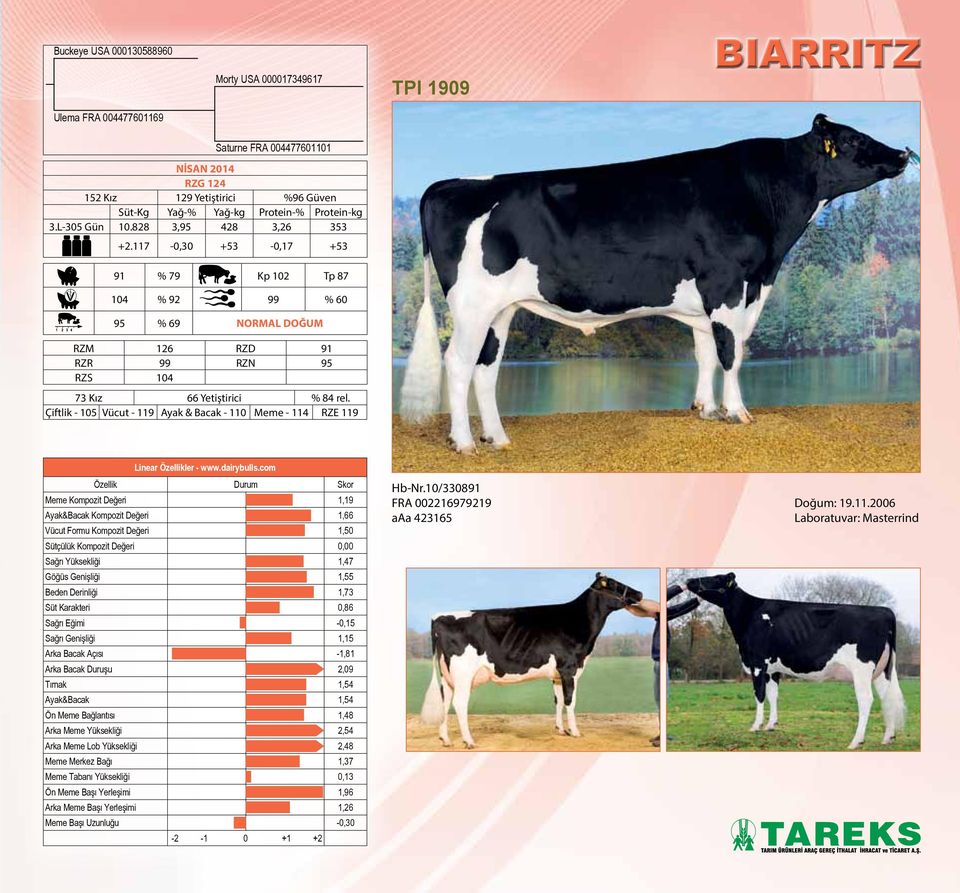 Çiftlik - 105 Vücut - 119 Ayak & Bacak - 110 Meme - 114 RZE 119 Linear Özellikler - www.dairybulls.