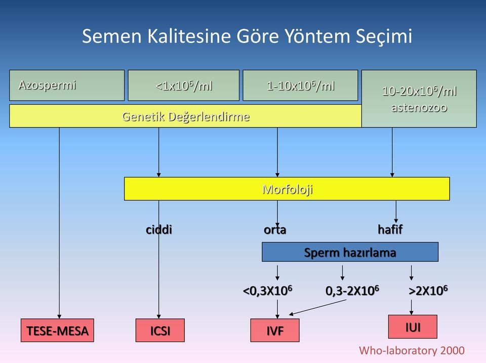 astenozoo Morfoloji ciddi orta hafif Sperm hazırlama