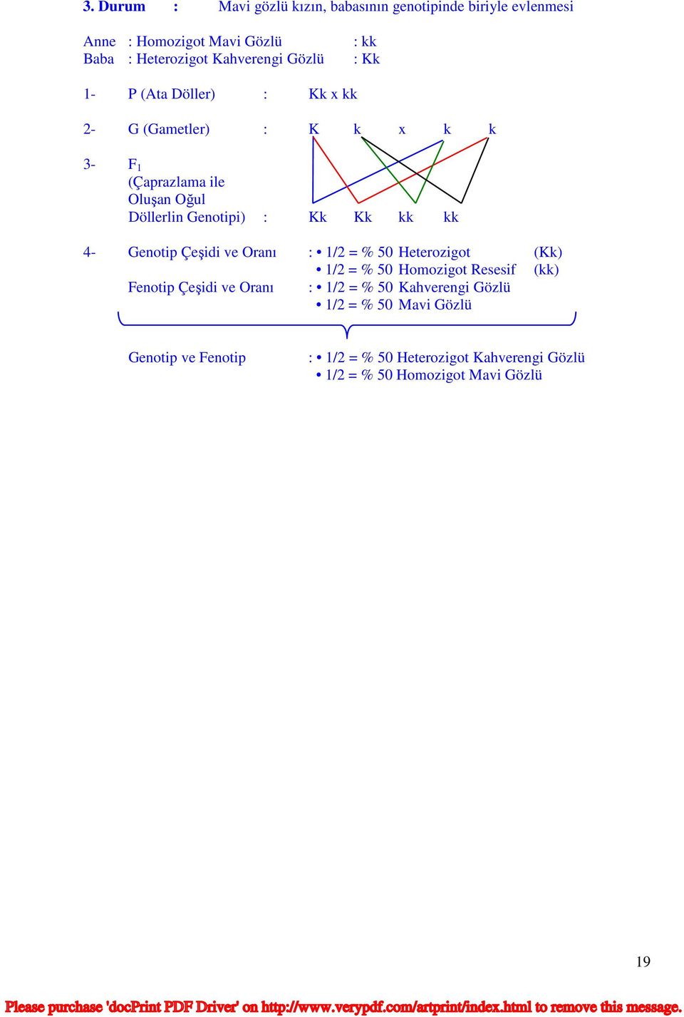 kk 4- Genotip Çeşidi ve Oranı : 1/2 = % 50 Heterozigot (Kk) 1/2 = % 50 Homozigot Resesif (kk) Fenotip Çeşidi ve Oranı : 1/2 = % 50