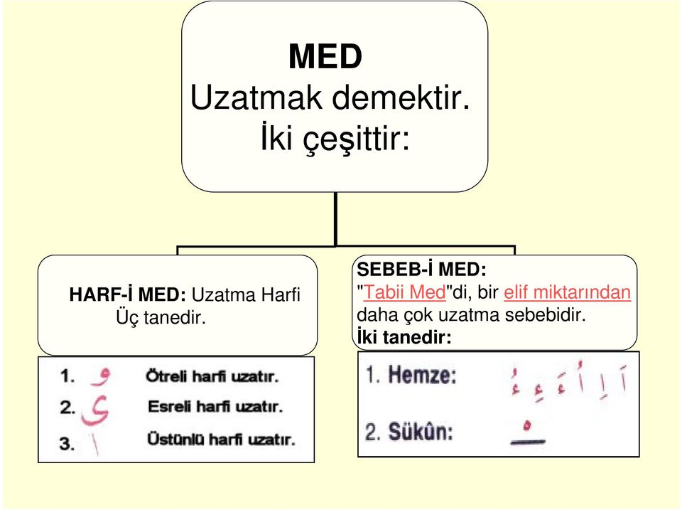 Üç tanedir.