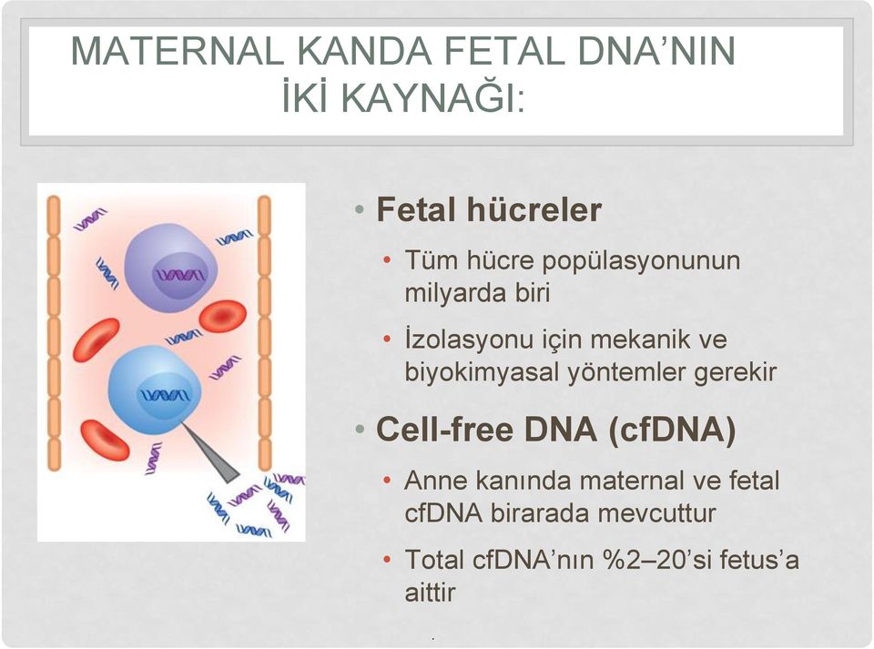 biyokimyasal yöntemler gerekir Cell-free DNA (cfdna) Anne kanında