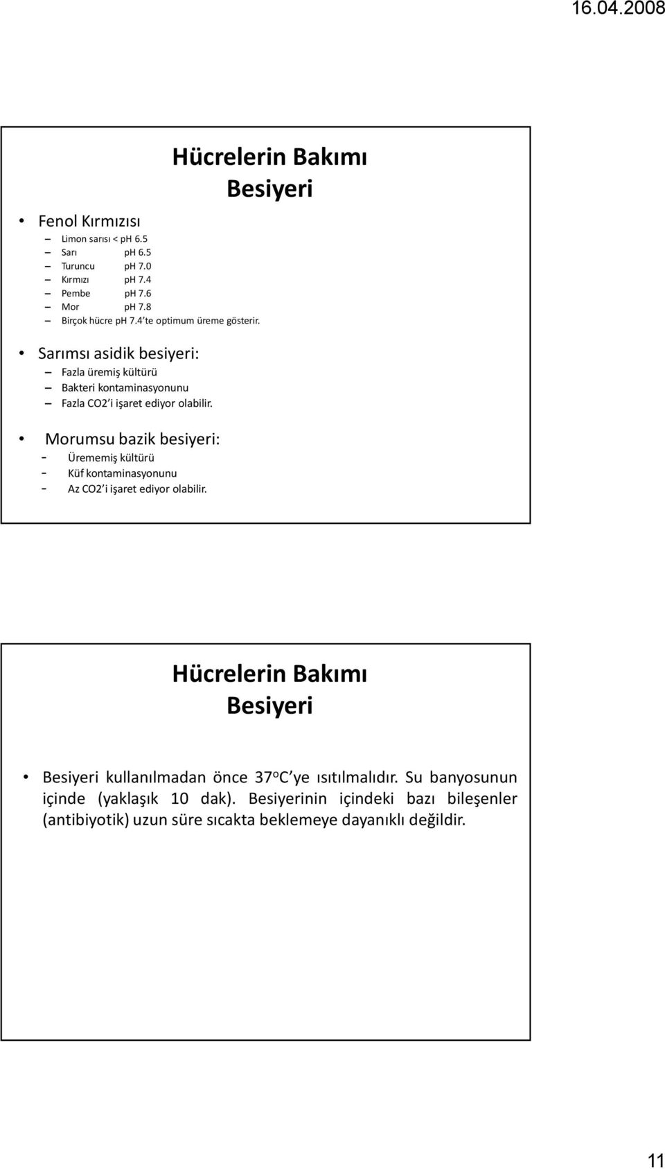 Morumsu bazik besiyeri: Ürememiş kültürü Küf kontaminasyonunu Az CO2 i işaret ediyor olabilir.