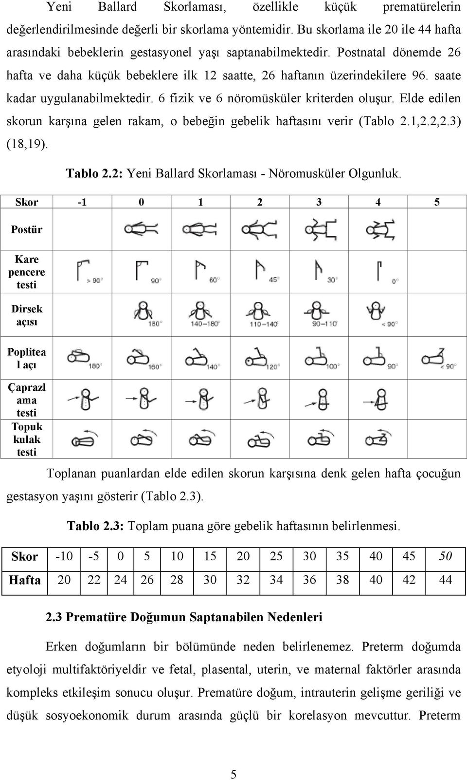 Elde edilen skorun karşına gelen rakam, o bebeğin gebelik haftasını verir (Tablo 2.1,2.2,2.3) (18,19). Tablo 2.2: Yeni Ballard Skorlaması - Nöromusküler Olgunluk.