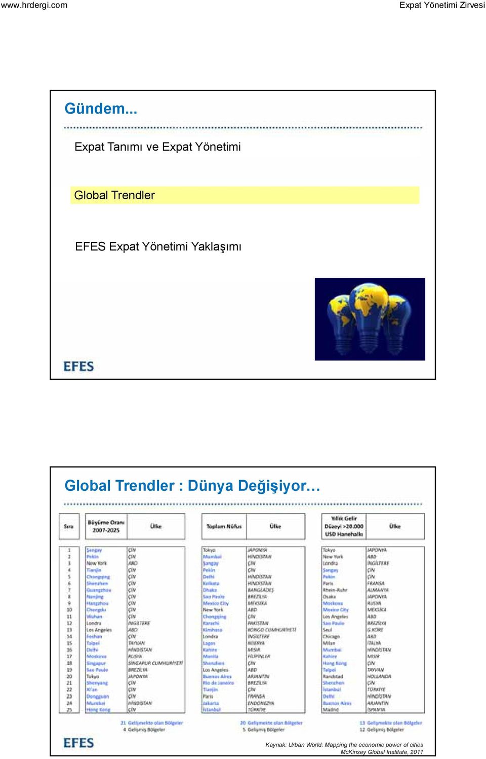 EFES Expat Yönetimi Yaklaşımı Global Trendler :