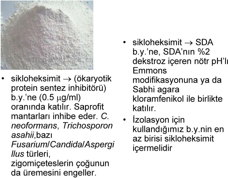 inhibitörü) Sabhi agara b.y. ne (0.5 g/ml) kloramfenikol ile birlikte oranında katılır. Saprofit katılır.