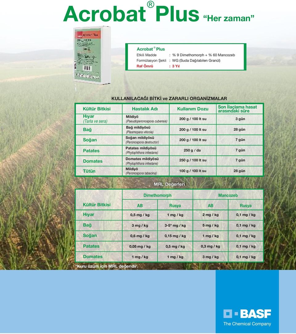 infestans) Kullanım Dozu 200 g / 100 lt su 200 g / 100 lt su 200 g / 100 lt su 250 g / da Son İlaçlama hasat arasındaki süre 3 gün 28 gün 7 gün 7 gün Domates Tütün Domates mildiyösü (Phytophthora