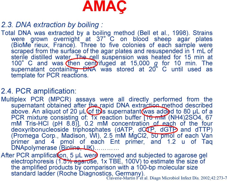 The cell suspension was heated for 15 min at 100 C and was then centrifuged at 15,000 g for 10 min. The supernatant containing DNA was stored at 20 C until used as template for PCR reactions. 2.4.