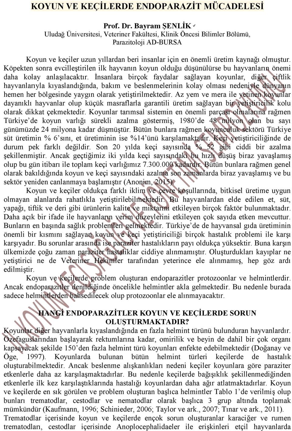 Köpekten sonra evcilleştirilen ilk hayvanın koyun olduğu düşünülürse bu hayvanların önemi daha kolay anlaşılacaktır.