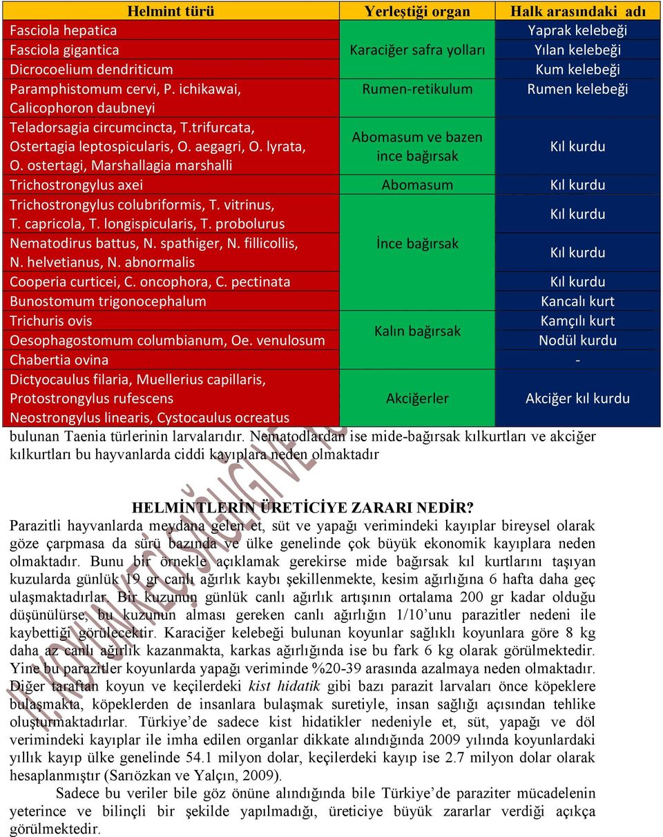 ostertagi, Marshallagia marshalli Kıl kurdu Trichostrongylus axei Abomasum Kıl kurdu Trichostrongylus colubriformis, T. vitrinus, T. capricola, T. longispicularis, T.