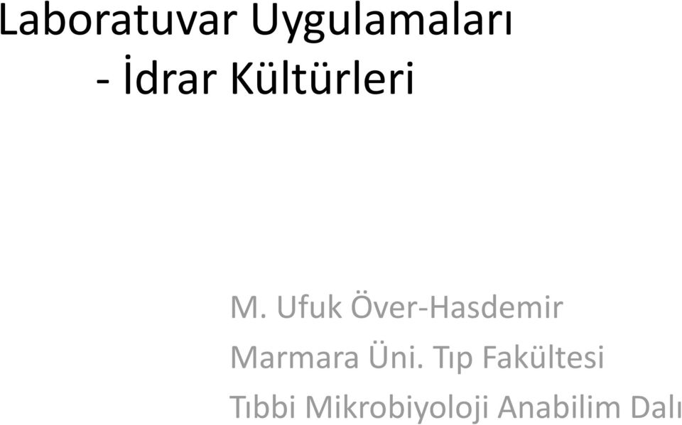 Ufuk Över-Hasdemir Marmara Üni.