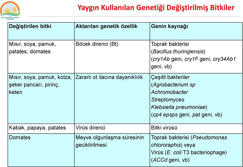 cry34ab1 geni, vb) Çeşitli bakteriler (Agrobacterium sp Achromobacter Streptomyces Klebsiella pneumoniae) (cp4 epsps geni, pat geni, vb) Kabak, papaya, patates