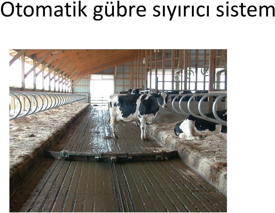 sıyırıcı