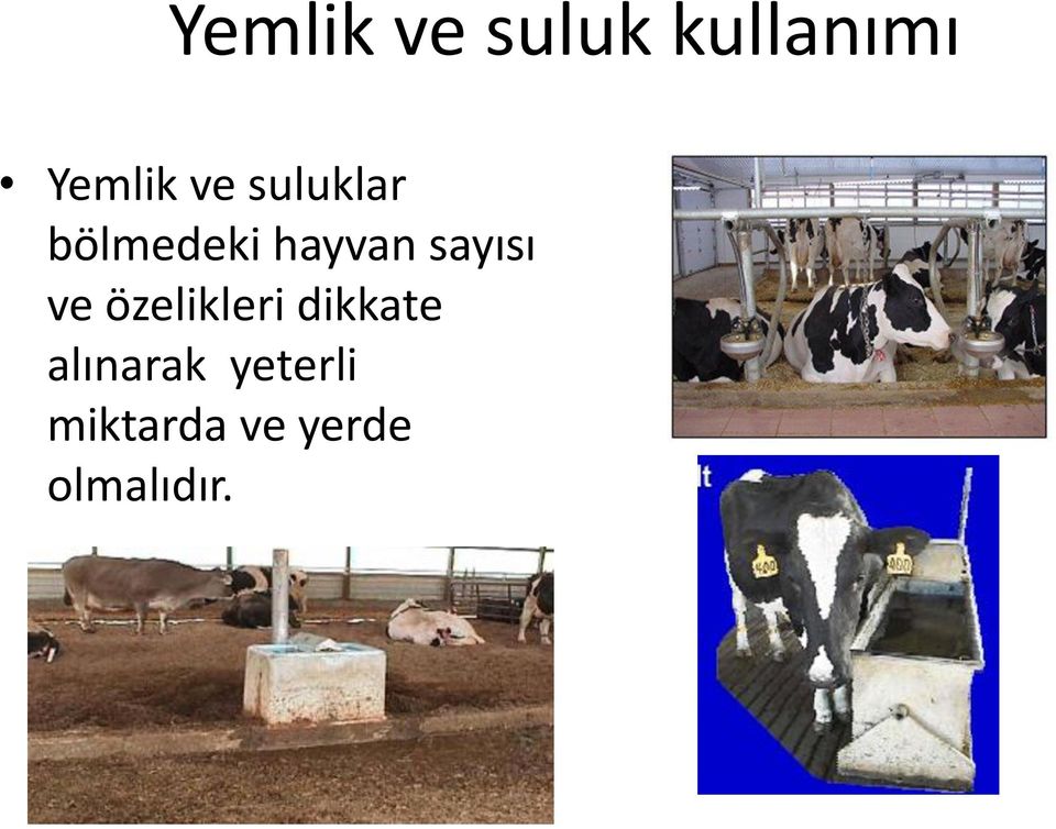 sayısı ve özelikleri dikkate