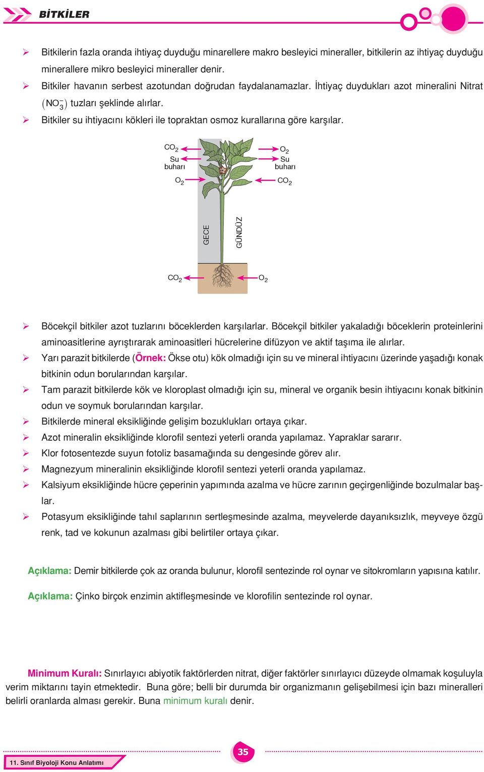 ¾ Bitkiler su ihtiyacını kökleri ile topraktan osmoz kurallar na göre karfl lar. CO 2 Su buhar O 2 O 2 Su buhar CO 2 GECE GÜNDÜZ CO 2 O 2 Böcekçil bitkiler azot tuzlarını böceklerden karşılarlar.