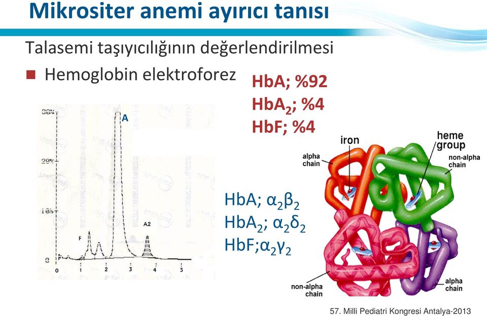 Hemoglobin elektroforez HbA; %92 HbA 2 ;