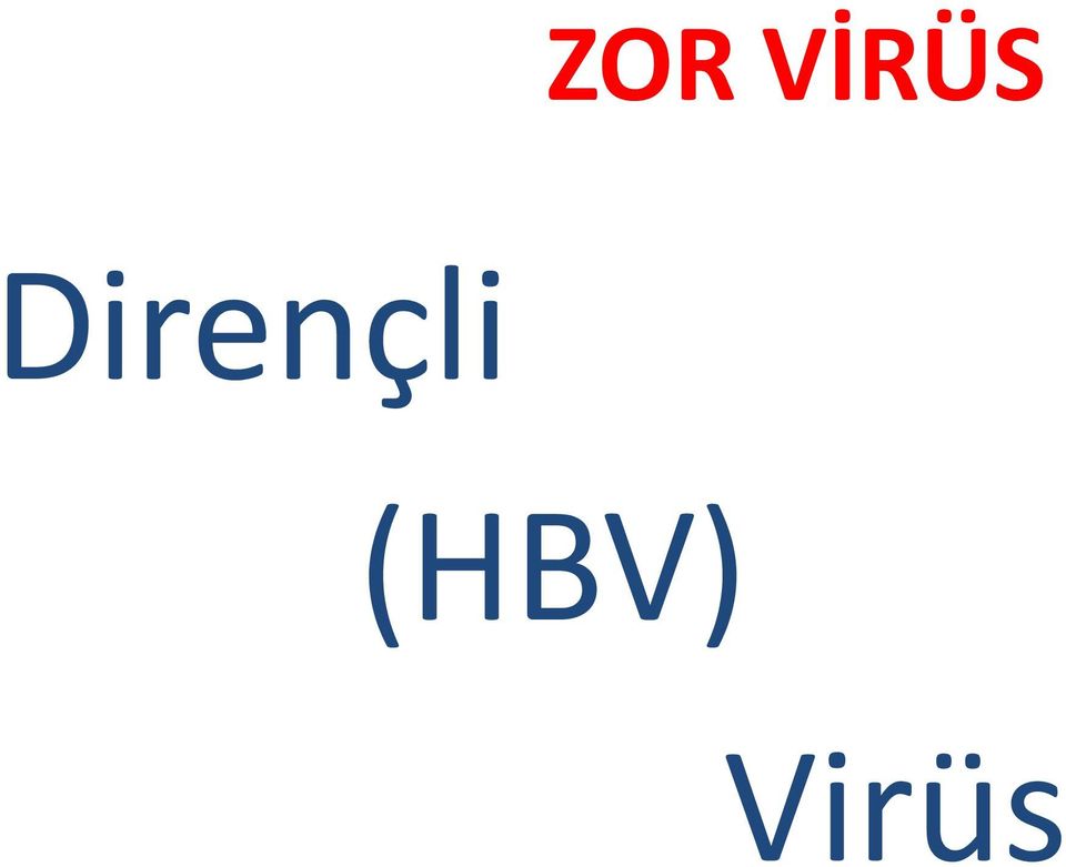 (HBV)