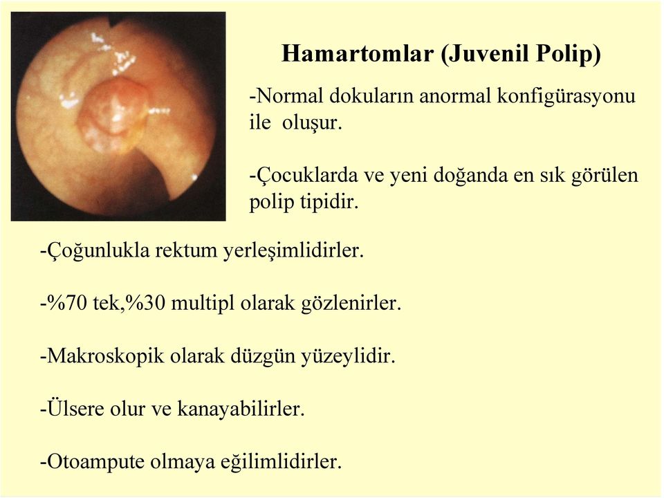 -Otoampute olmaya eğilimlidirler.