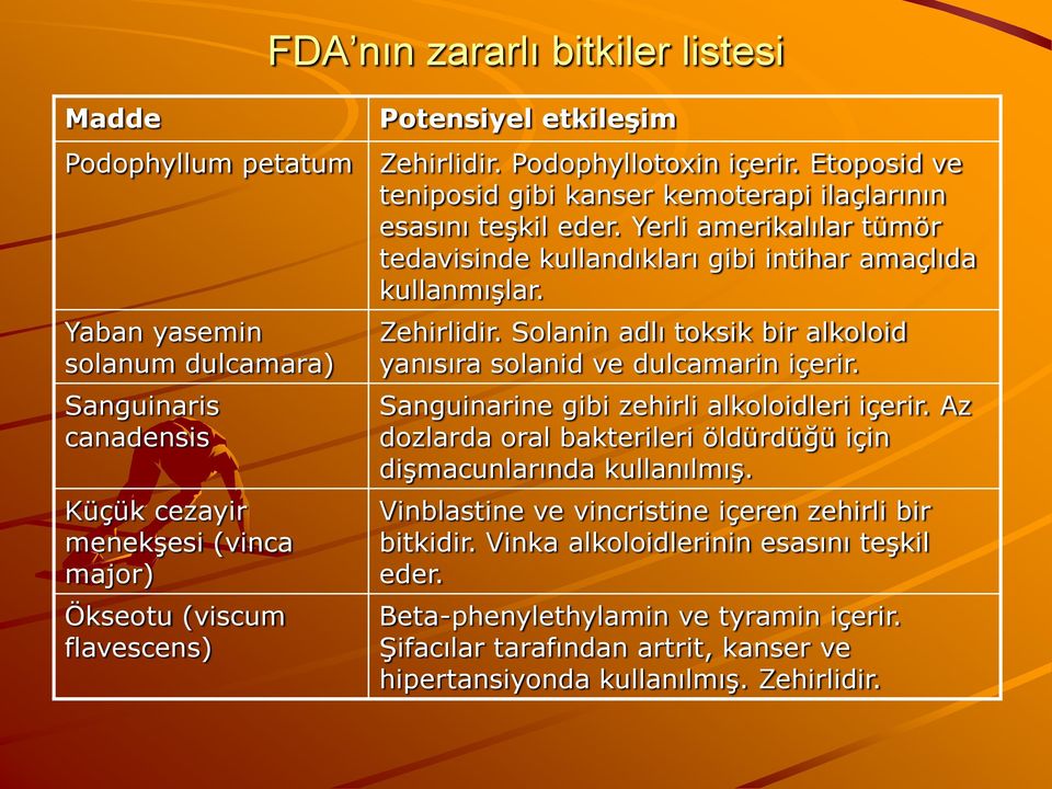 Yaban yasemin solanum dulcamara) Sanguinaris canadensis Küçük cezayir menekşesi (vinca major) Ökseotu (viscum flavescens) Zehirlidir.