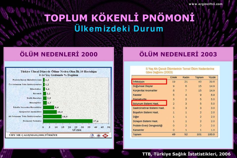 NEDENLERİ 2003 TTB,