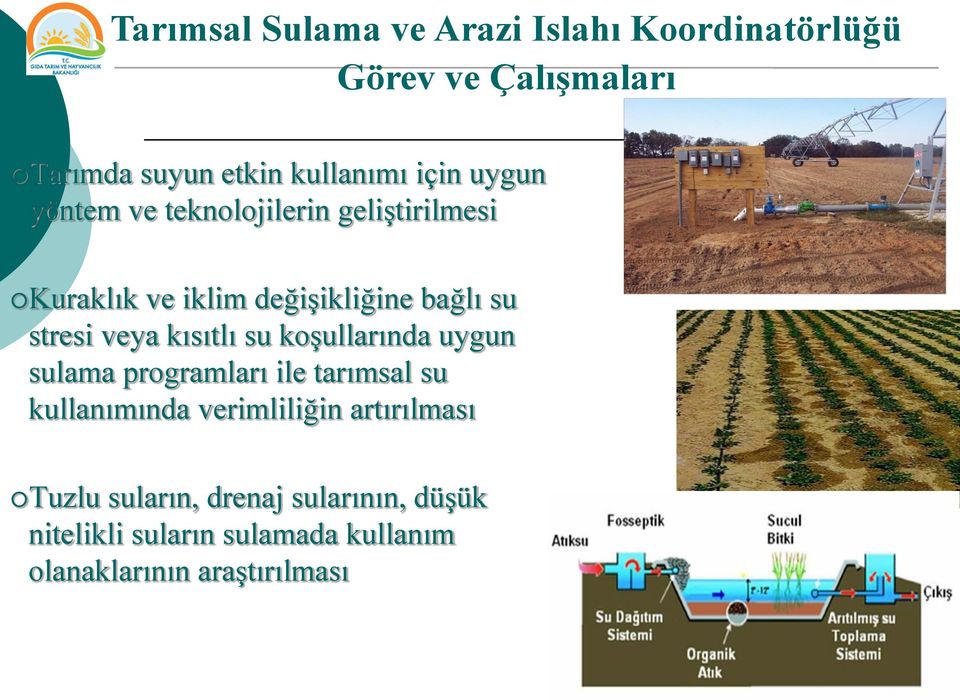 veya kısıtlı su koşullarında uygun sulama programları ile tarımsal su kullanımında verimliliğin