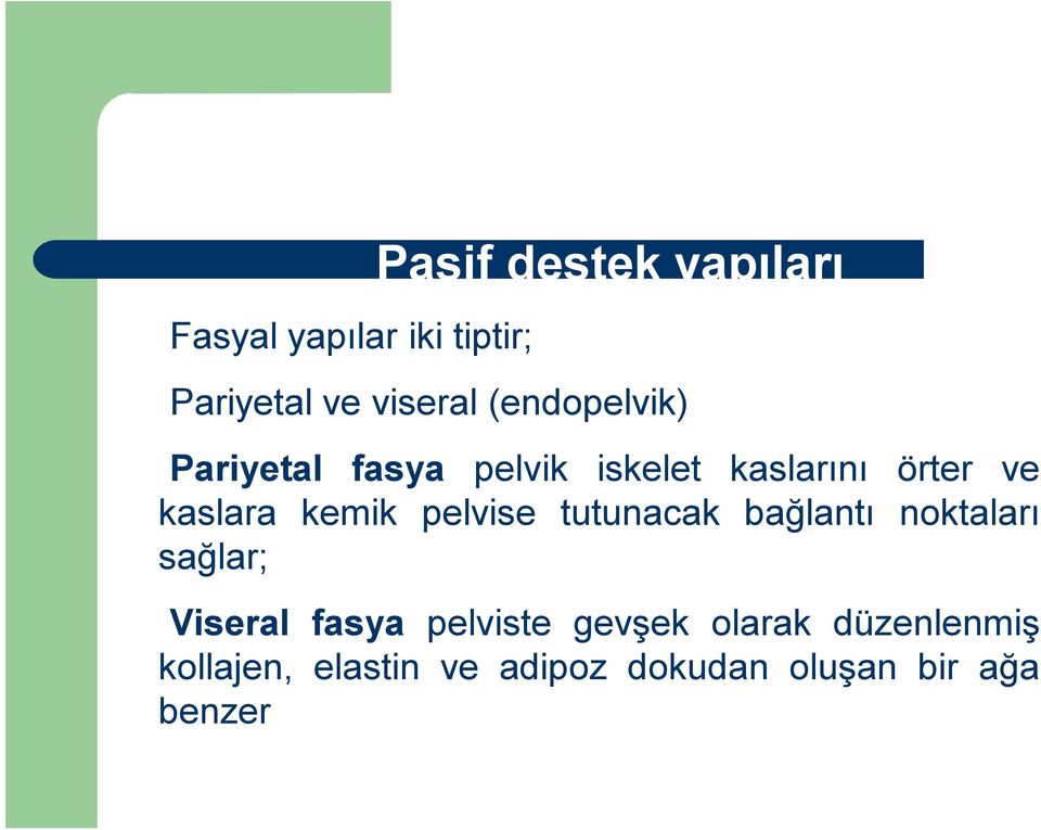 kemik pelvise tutunacak bağlantı noktaları sağlar; Viseral fasya pelviste