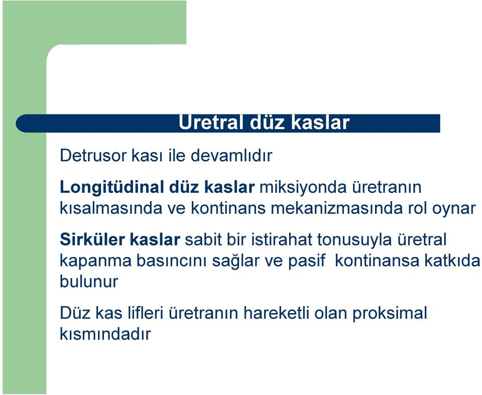 kaslar sabit bir istirahat tonusuyla üretral kapanma basıncını sağlar ve pasif