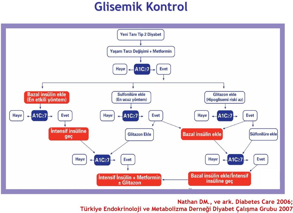 Diabetes Care 2006; Türkiye