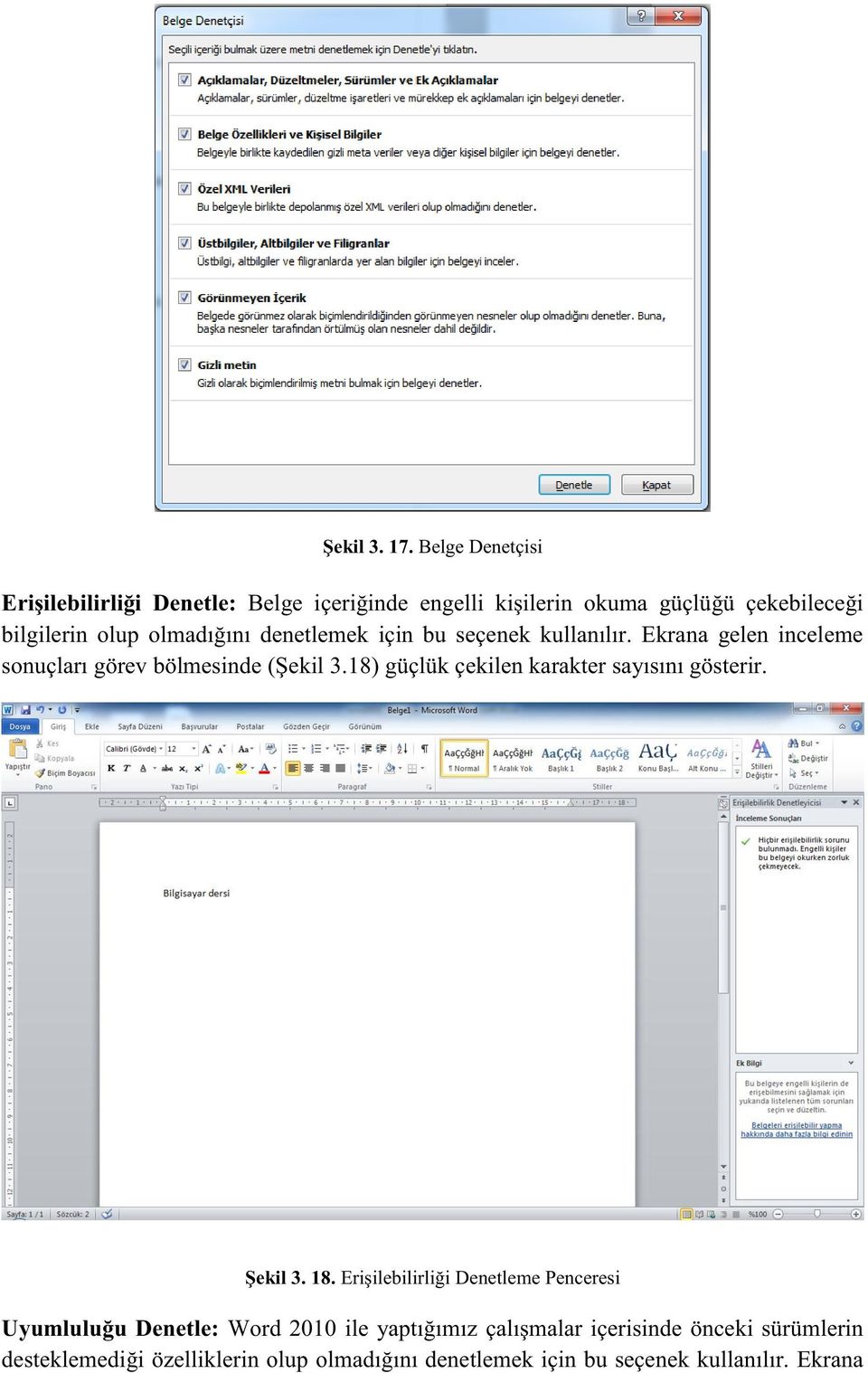 olmadığını denetlemek için bu seçenek kullanılır. Ekrana gelen inceleme sonuçları görev bölmesinde (Şekil 3.