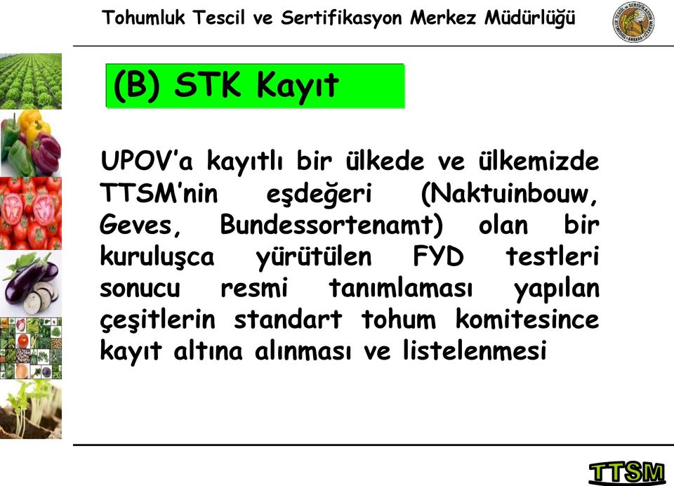 kuruluşca yürütülen FYD testleri sonucu resmi tanımlaması