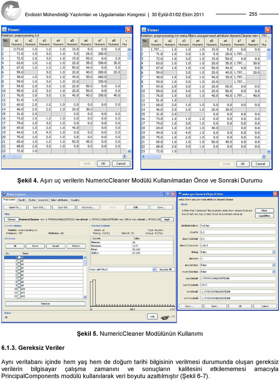 NumericCleaner Modülünün Kullanımı Aynı veritabanı içinde hem yaģ hem de doğum tarihi bilgisinin