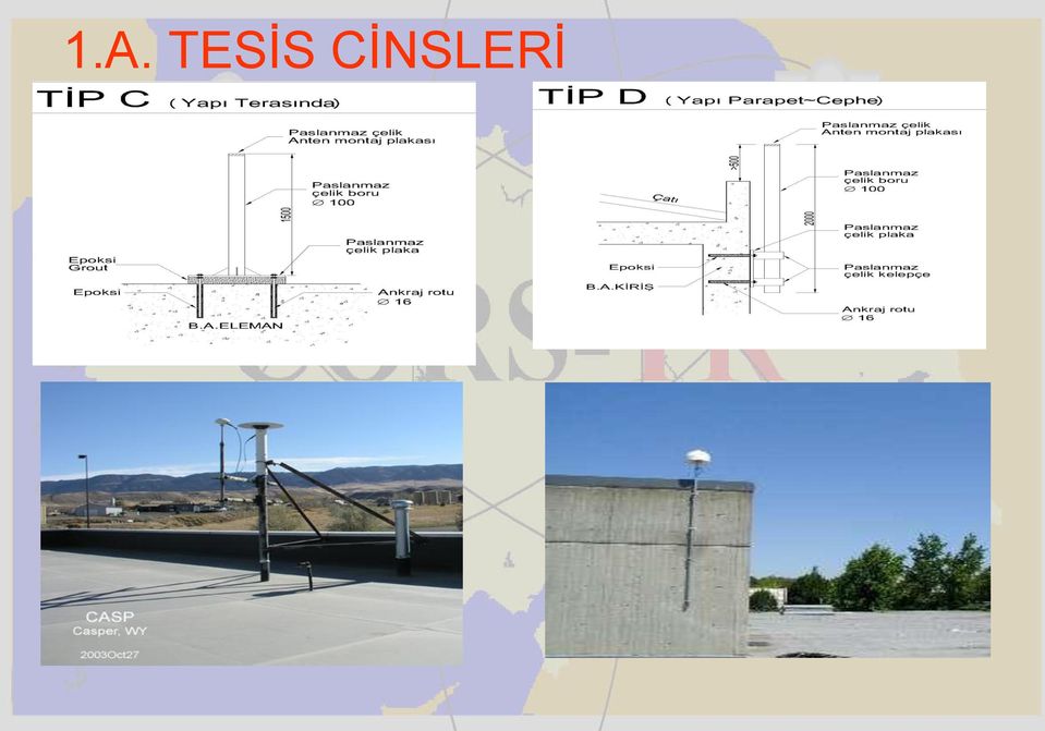 CİNSLERİ