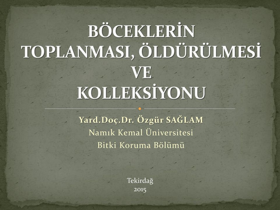 Kemal Üniversitesi