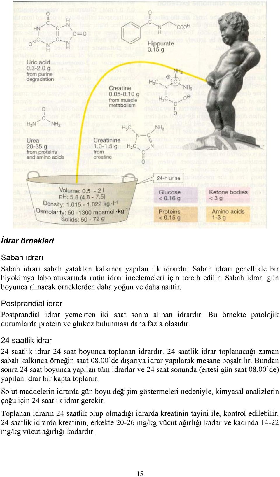 Bu örnekte patolojik durumlarda protein ve glukoz bulunması daha fazla olasıdır. 24 saatlik idrar 24 saatlik idrar 24 saat boyunca toplanan idrardır.