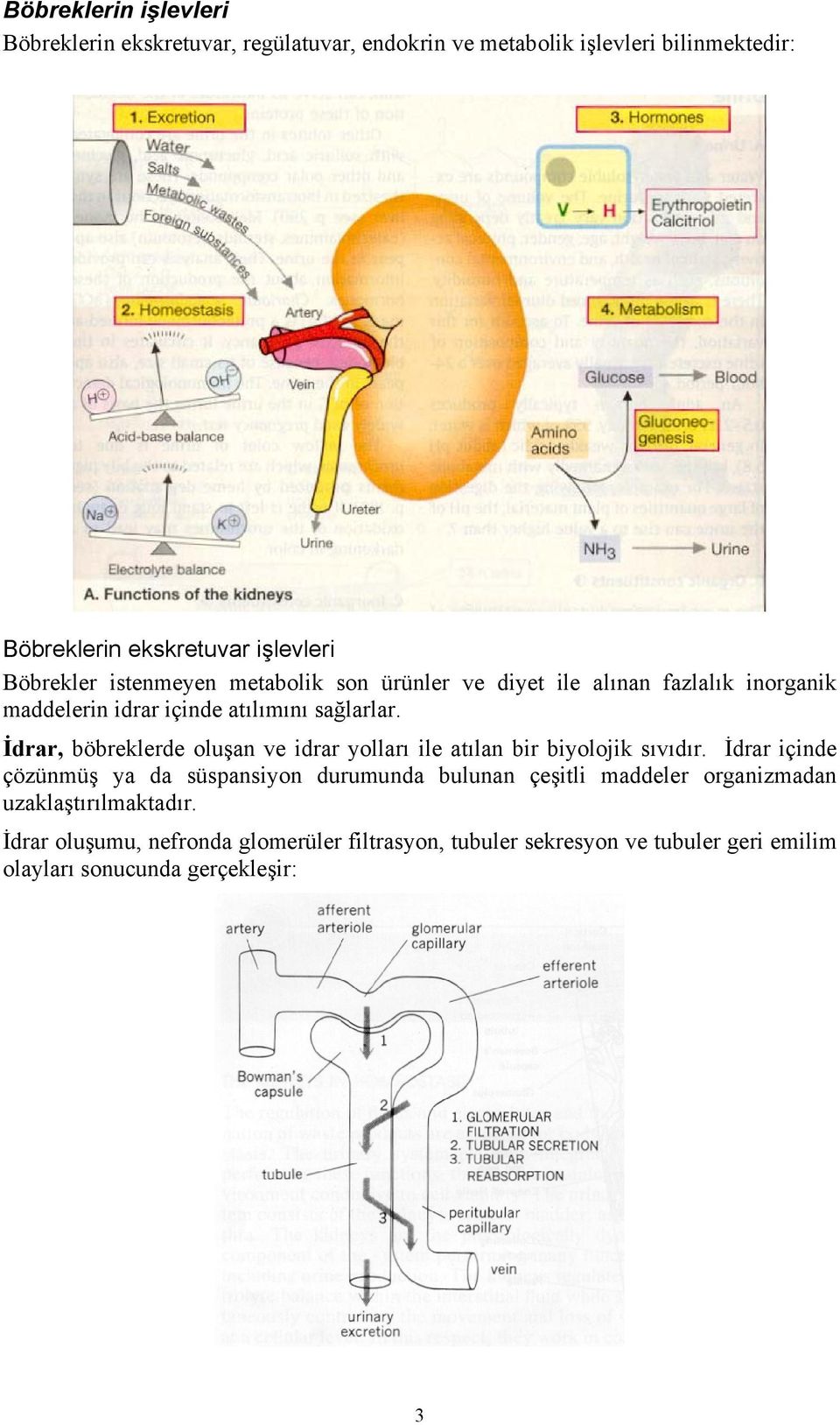 İdrar, böbreklerde oluşan ve idrar yolları ile atılan bir biyolojik sıvıdır.