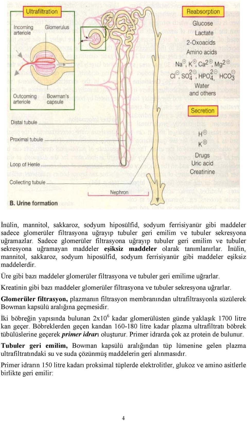 İnülin, mannitol, sakkaroz, sodyum hiposülfid, sodyum ferrisiyanür gibi maddeler eşiksiz maddelerdir. Üre gibi bazı maddeler glomerüler filtrasyona ve tubuler geri emilime uğrarlar.