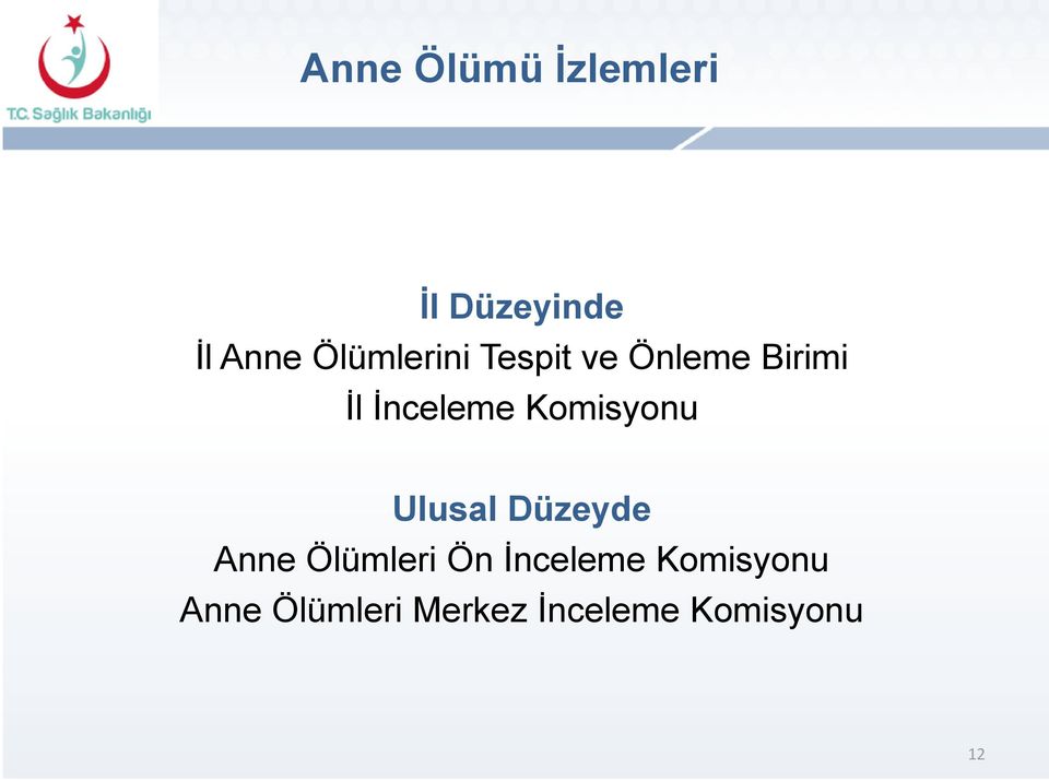 Komisyonu Ulusal Düzeyde Anne Ölümleri Ön