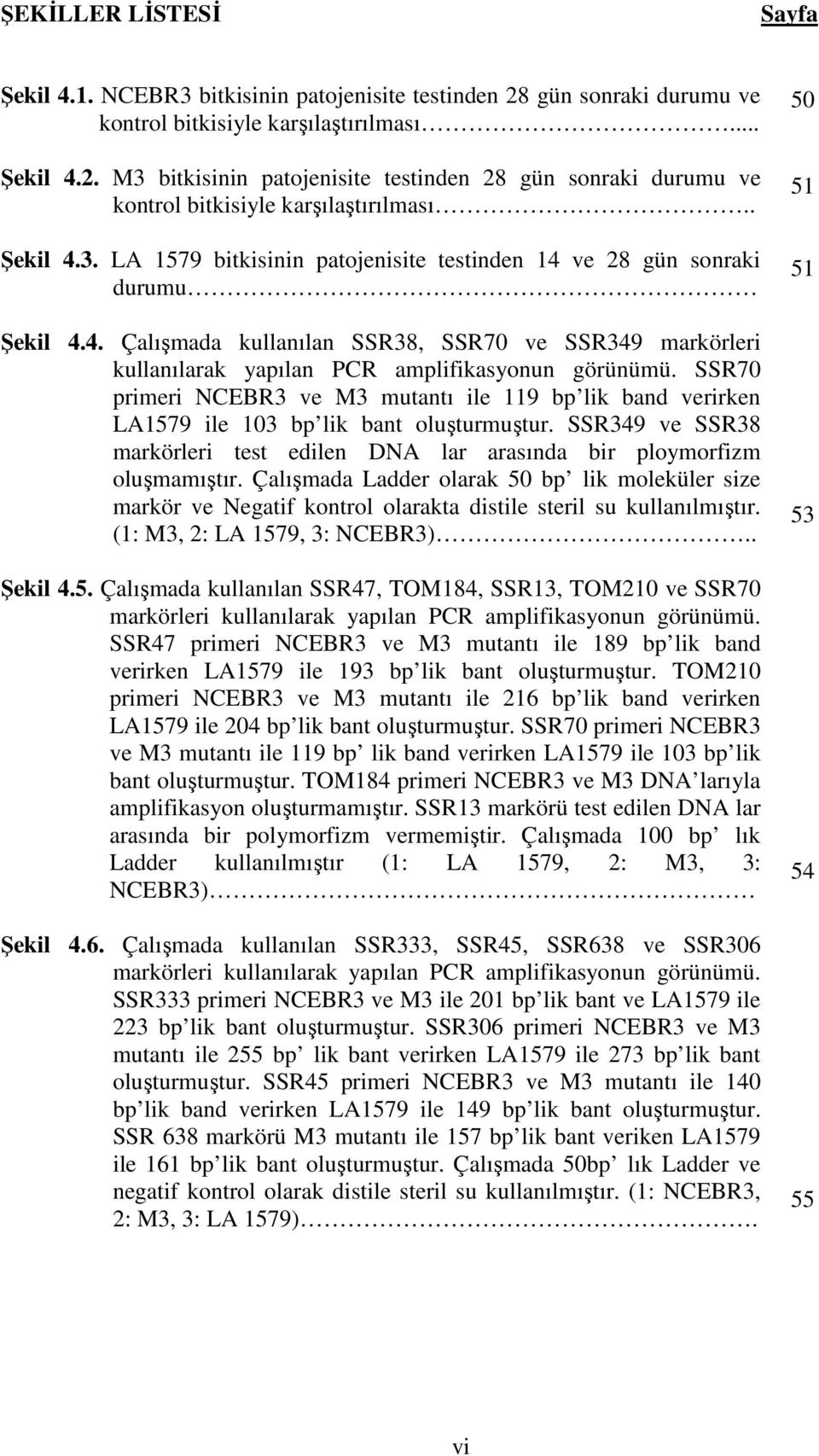 SSR70 primeri NCEBR3 ve M3 mutantı ile 119 bp lik band verirken LA1579 ile 103 bp lik bant oluşturmuştur. SSR349 ve SSR38 markörleri test edilen DNA lar arasında bir ploymorfizm oluşmamıştır.