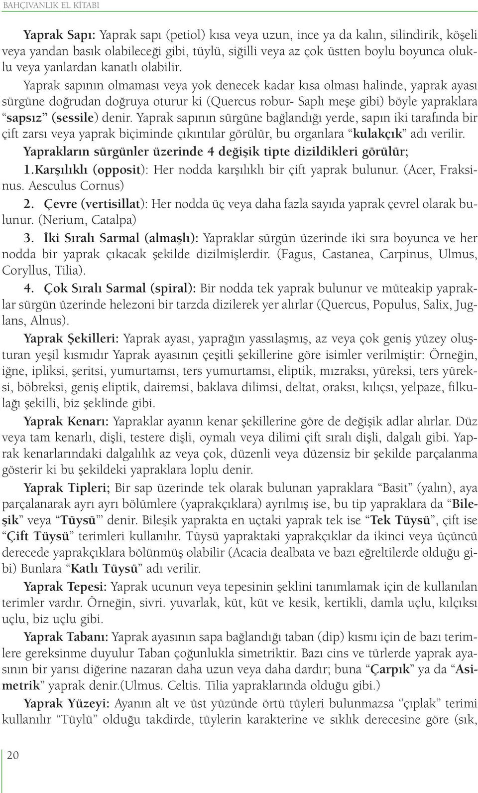 Yaprak sapının olmaması veya yok denecek kadar kısa olması halinde, yaprak ayası sürgüne doğrudan doğruya oturur ki (Quercus robur- Saplı meşe gibi) böyle yapraklara sapsız (sessile) denir.