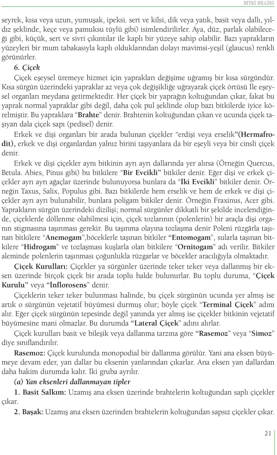 Bazı yaprakların yüzeyleri bir mum tabakasıyla kaplı olduklarından dolayı mavimsi-yeşil (glaucus) renkli görünürler. 6.