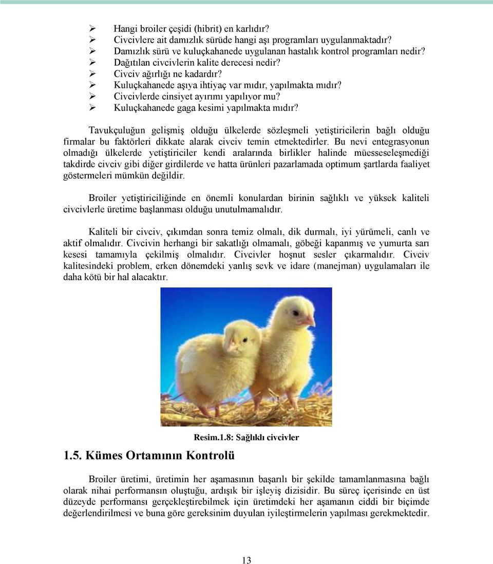 Kuluçkahanede gaga kesimi yapılmakta mıdır? Tavukçuluğun gelişmiş olduğu ülkelerde sözleşmeli yetiştiricilerin bağlı olduğu firmalar bu faktörleri dikkate alarak civciv temin etmektedirler.