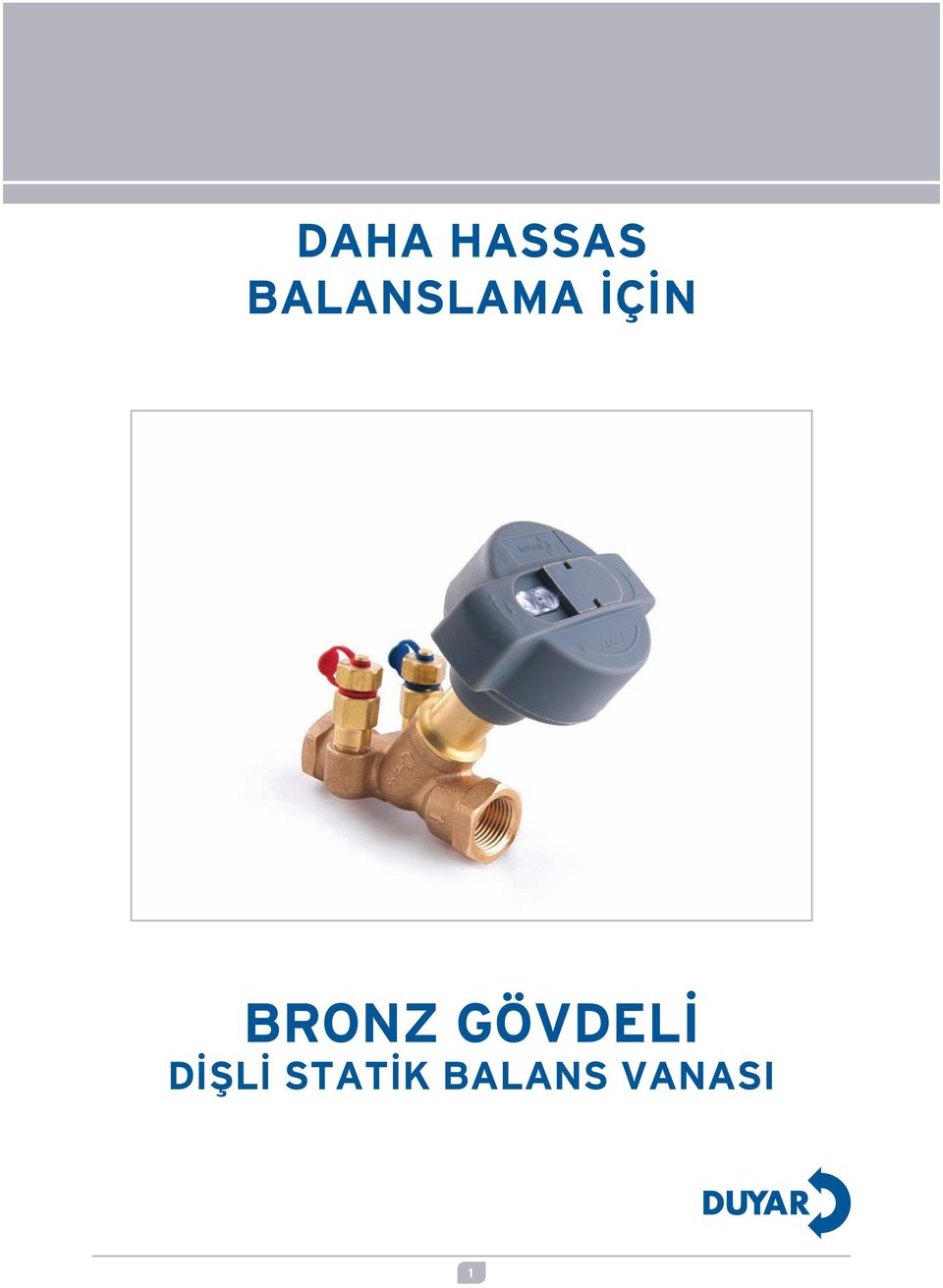 BRONZ GÖVDELİ